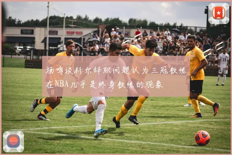 杨鸣谈科尔辞职问题认为三冠教练在NBA几乎是终身教练的现象